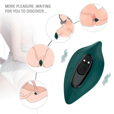 Leavess Green, 9 vibration functions Leavess Green, 9 vibration functions