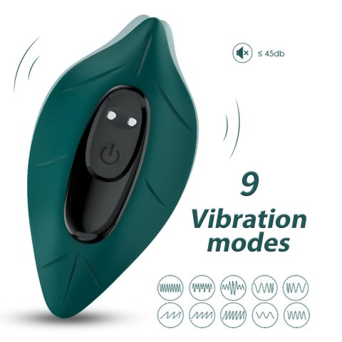 Leavess Green, 9 vibration functions Leavess Green, 9 vibration functions