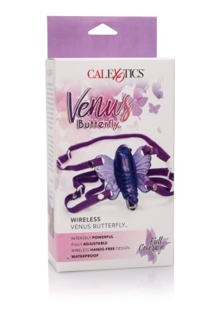 Wireless Venus Butterfly Purple