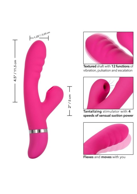 Foreplay Frenzy Pucker Pink