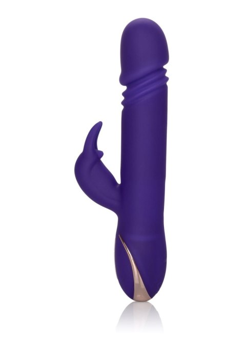 Thrusting Rabbit Signature Purple