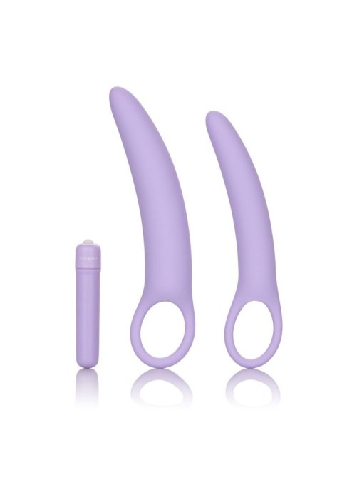 Isabelle Set of 2 Dilators Purple