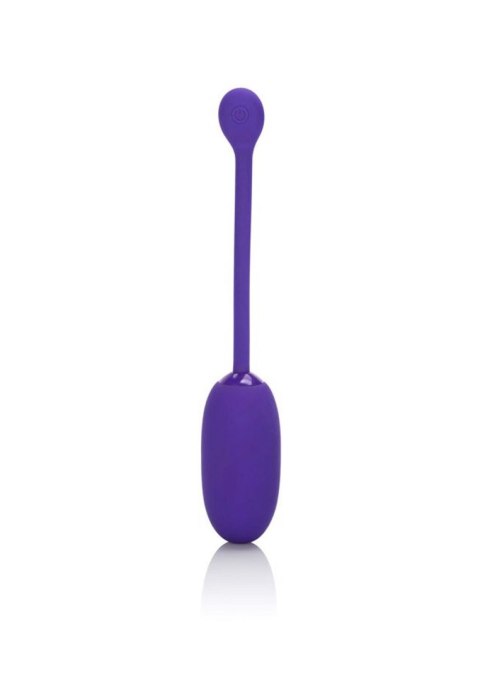 Recharg. Kegel Ball Starter Purple