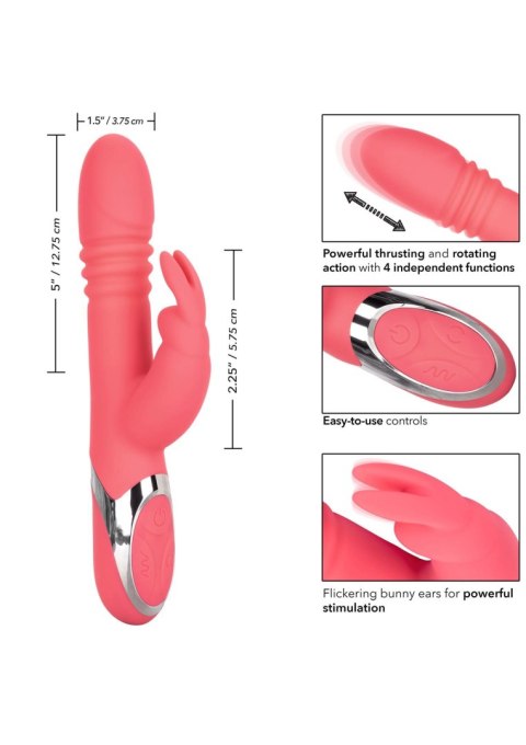 Enchanted Exciter Pink