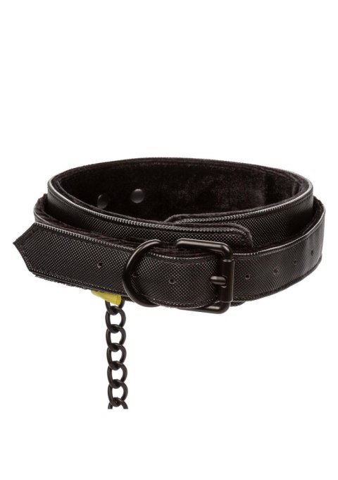 Boundless Collar & Leash Black