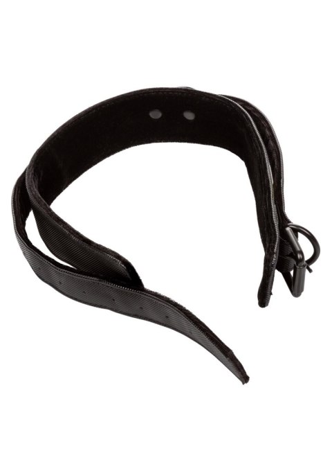 Boundless Collar & Leash Black