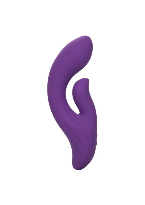 Stella Dual Pleaser Purple