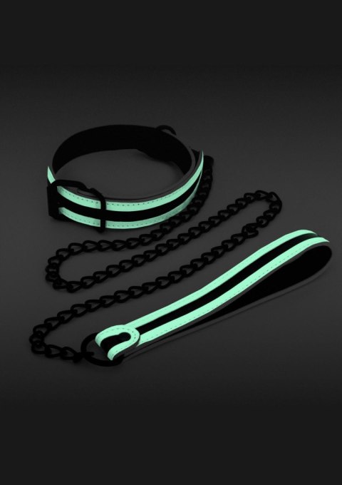 Glo Collar And Leash Glow in the dark