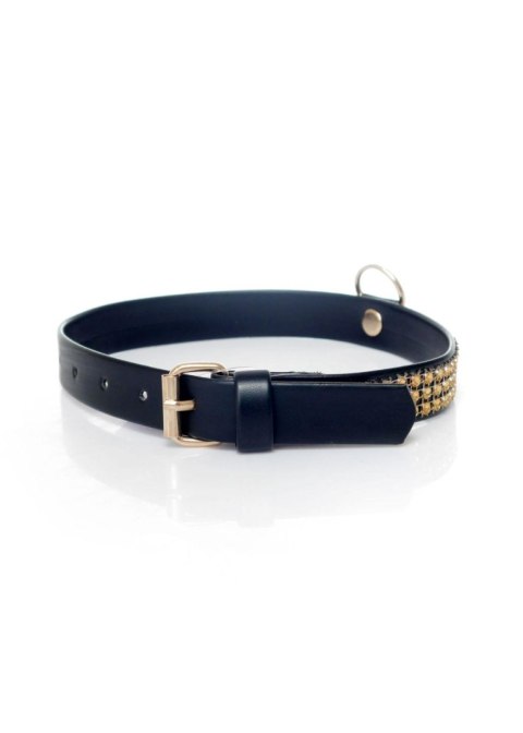 Fetish B - Series Collar with crystals 2 cm gold