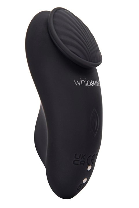 WHIPSMART RECHARGEABLE REMOTE CONTROL PANTY VIBE