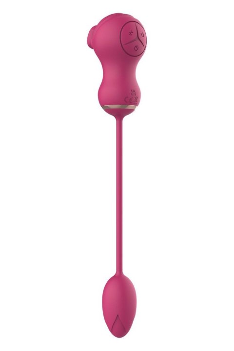 ESSENTIALS FLEXIBLE DUAL STIMULATOR AND VIBRATING EGG PINK