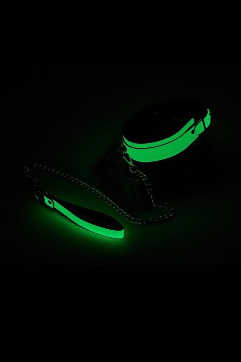 RADIANT COLLAR AND LEASH GLOW IN THE DARK GREEN