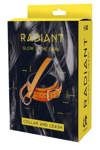 RADIANT COLLAR AND LEASH GLOW IN THE DARK ORANGE