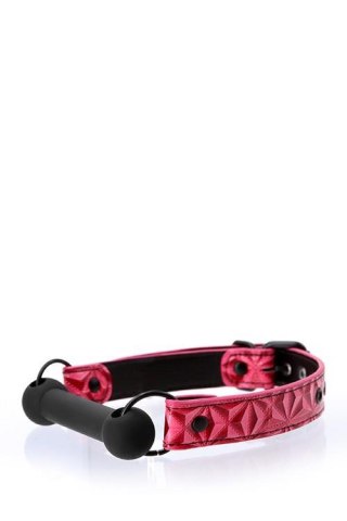 SINFUL BAR GAG PINK