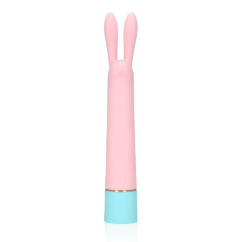 Mini Rabbit Vibrator with USB Charger
