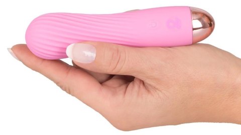 Cuties Mini Vibrator Rose 2.G