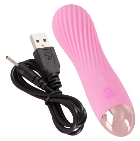 Cuties Mini Vibrator Rose 2.G