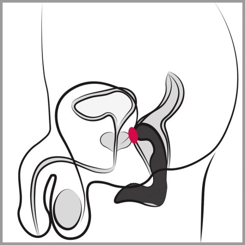 Rebel Prostate Plug recharge Rebel Prostate Plug recharge