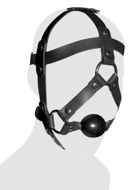 Leather Head Harness & Gag