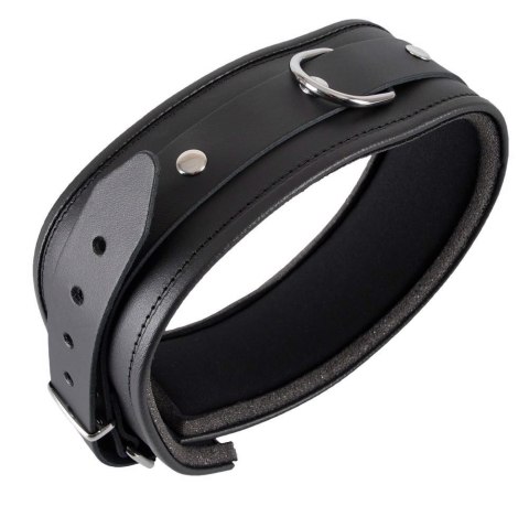 Leather Collar L/XL