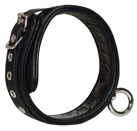 Leather Collar S-L Leather Collar S-L